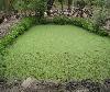 Manejo integral de la microcuenca - Jatun Khakha - Bolivia
