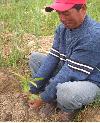 Manejo integral de la microcuenca - Jatun Khakha - Bolivia