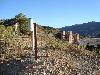 Puente Sucre LL