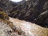 Salto leon HQ