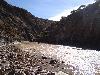 Salto leon HQ