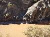 Salto leon HQ